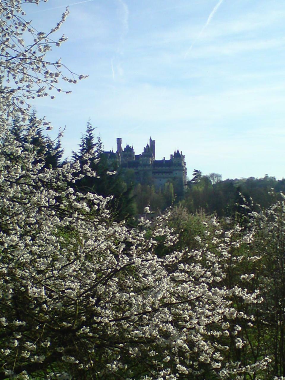 Aux Bles D'Or Pierrefonds Quarto foto